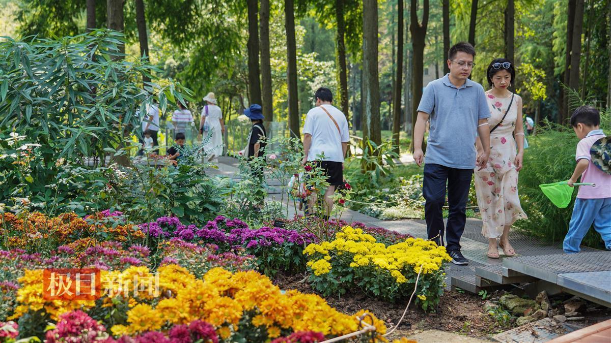 宝运莱游戏官网